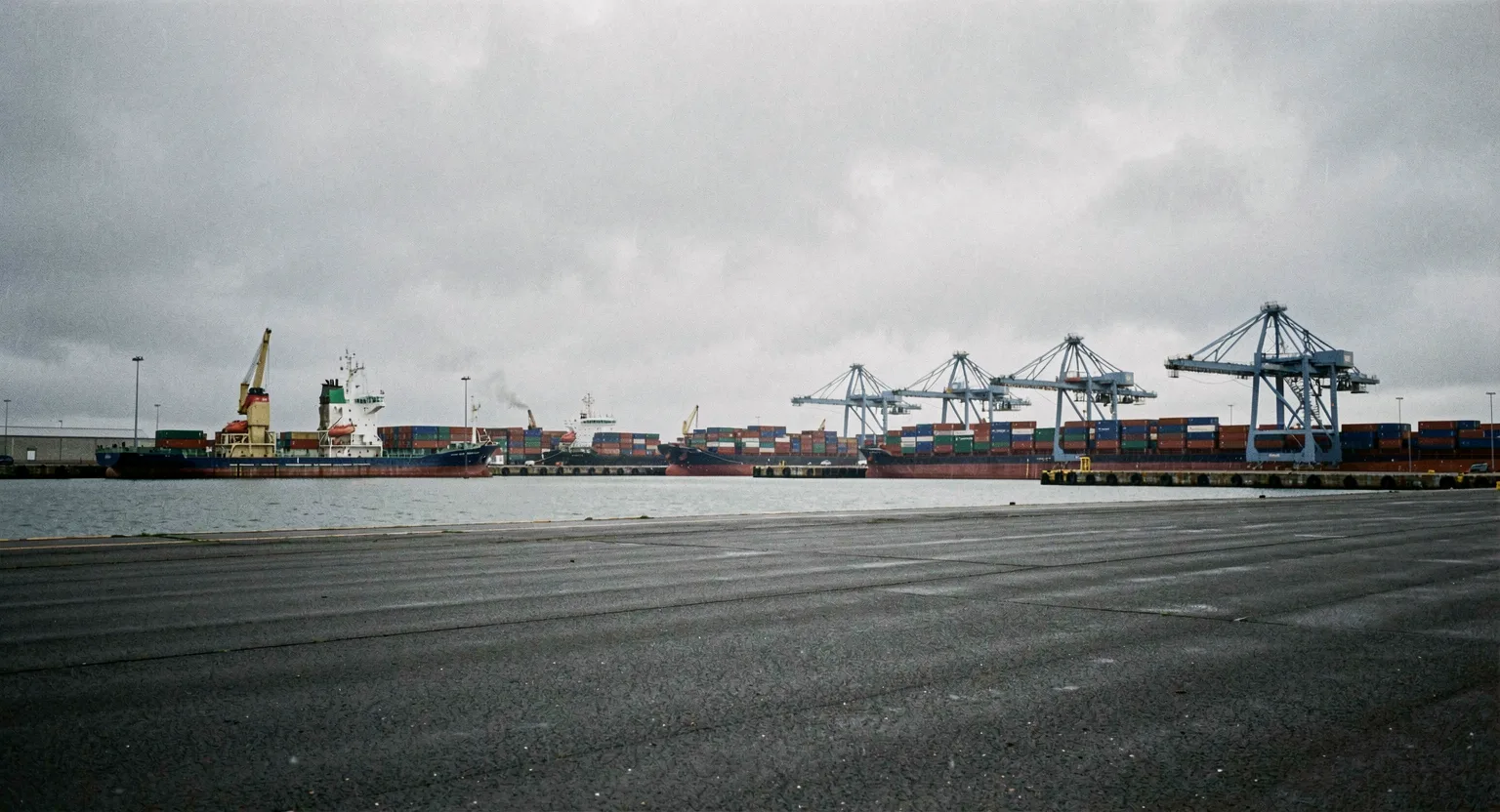 Port morski z dźwigami kontenerowymi pod szarym niebem